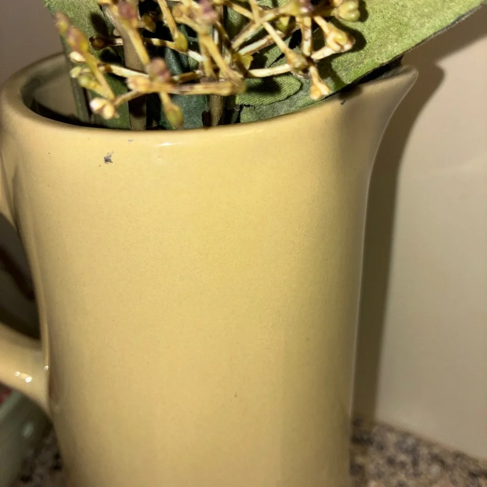 PotteryBarn Studio Ceramic‎ Pitcher Barbara Eiger Tan